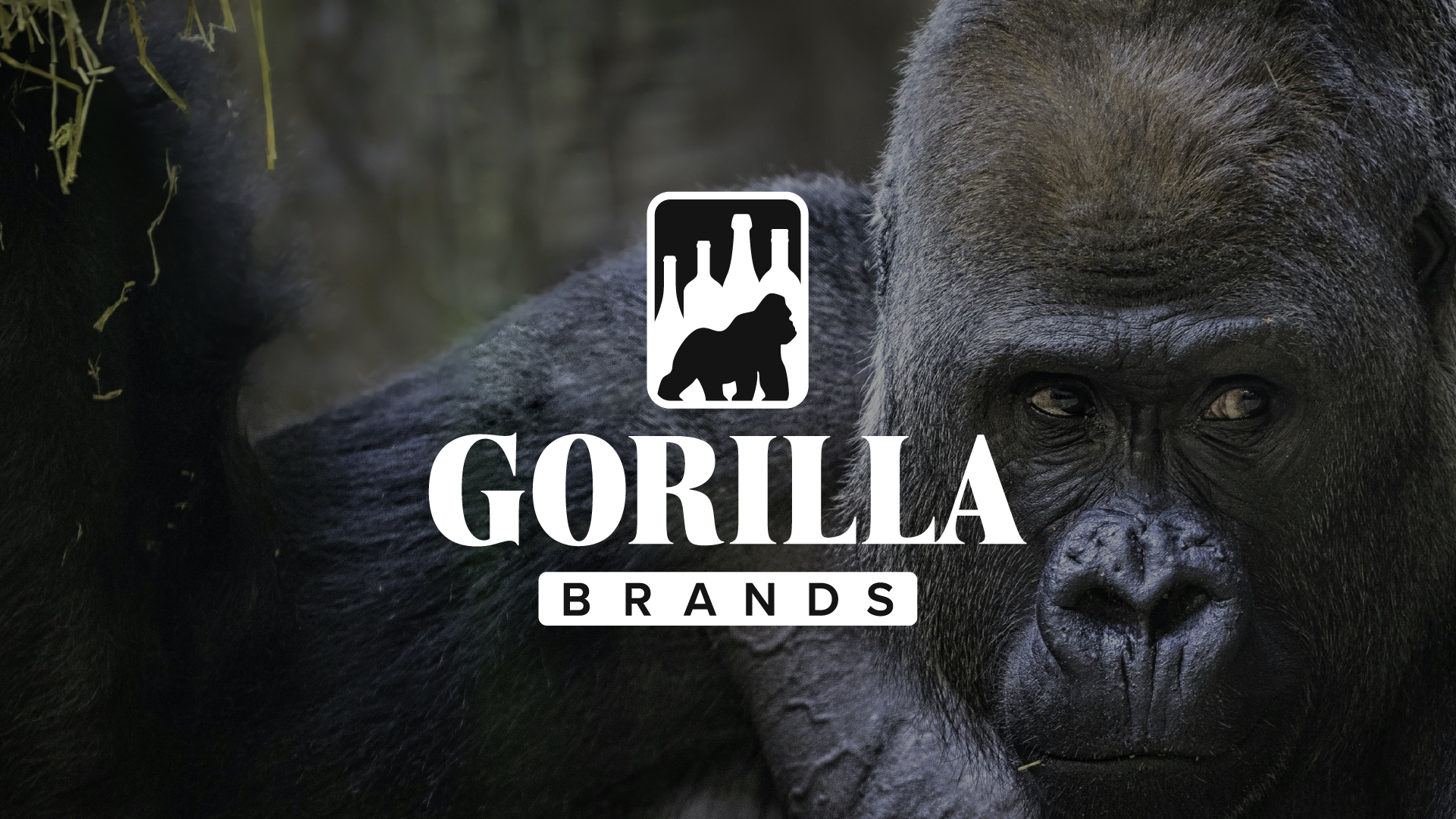Gorilla Brands