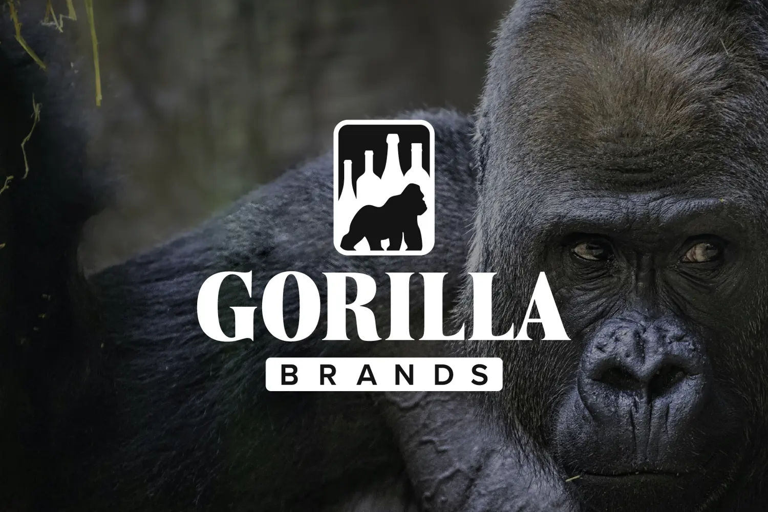 Gorilla Brands