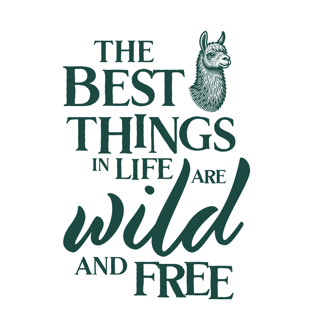 Fforest Mountain 193